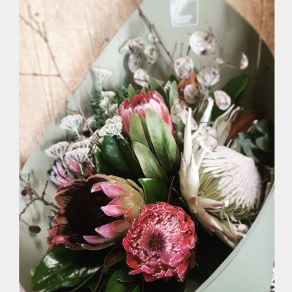 Protea selection